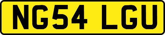 NG54LGU