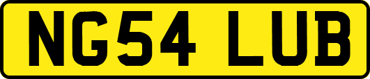 NG54LUB