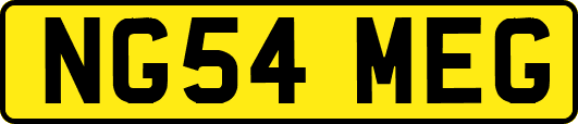 NG54MEG