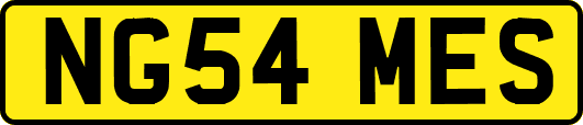 NG54MES