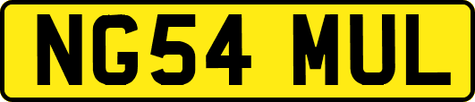 NG54MUL