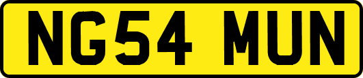 NG54MUN