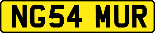 NG54MUR