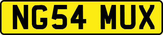 NG54MUX