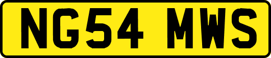 NG54MWS