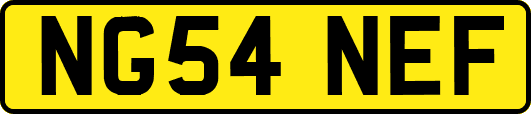 NG54NEF