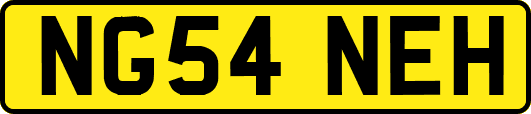 NG54NEH