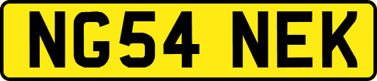 NG54NEK