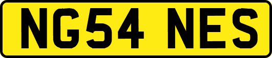 NG54NES