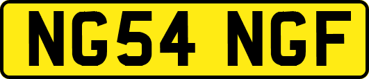NG54NGF