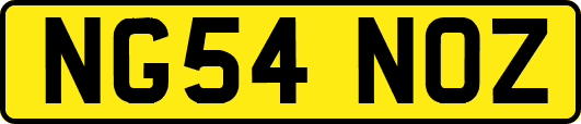 NG54NOZ