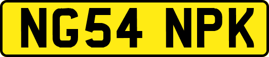 NG54NPK