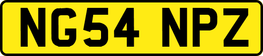 NG54NPZ