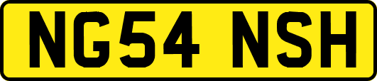 NG54NSH