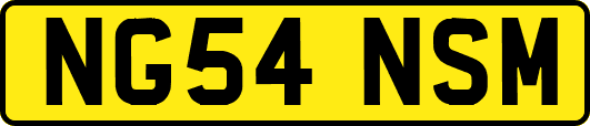 NG54NSM