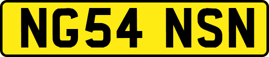 NG54NSN
