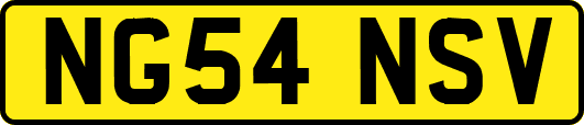 NG54NSV