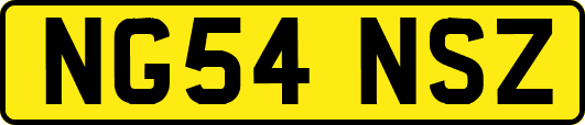 NG54NSZ