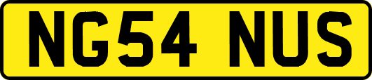NG54NUS