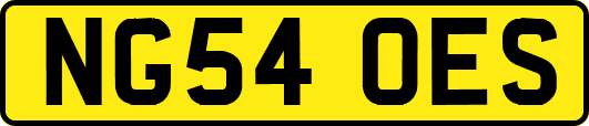 NG54OES