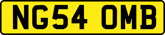 NG54OMB