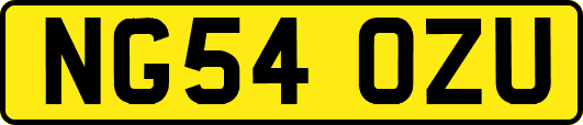 NG54OZU