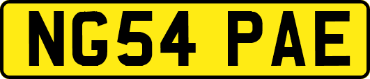 NG54PAE