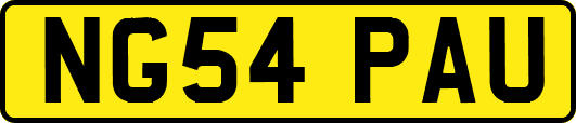 NG54PAU
