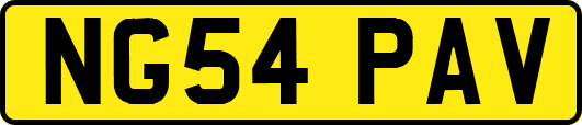 NG54PAV