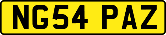 NG54PAZ