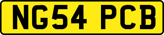 NG54PCB