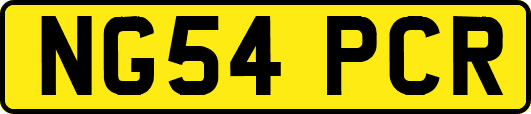 NG54PCR