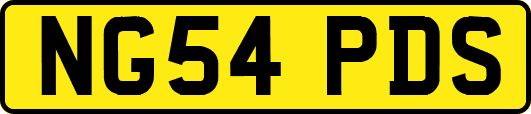 NG54PDS