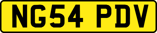 NG54PDV
