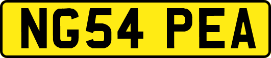 NG54PEA