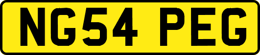 NG54PEG
