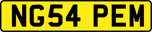 NG54PEM