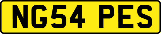 NG54PES