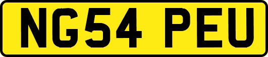 NG54PEU