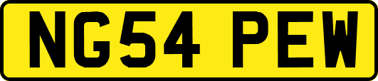 NG54PEW