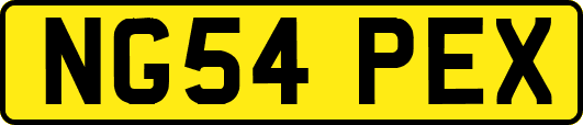 NG54PEX