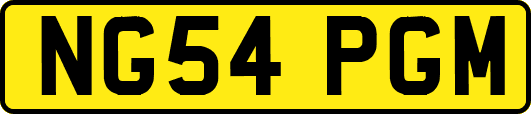 NG54PGM