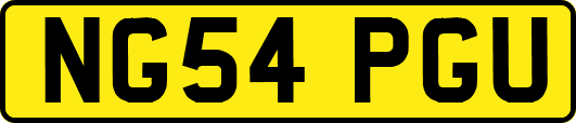 NG54PGU