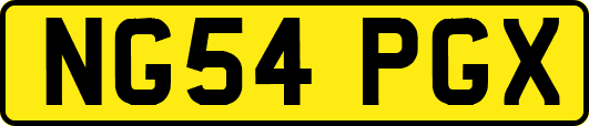 NG54PGX
