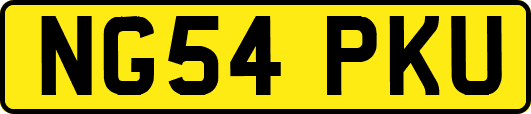 NG54PKU