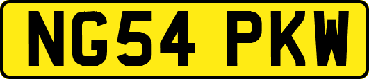 NG54PKW