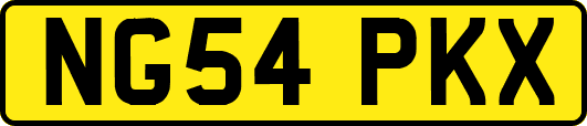 NG54PKX