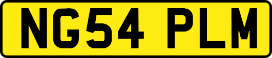 NG54PLM
