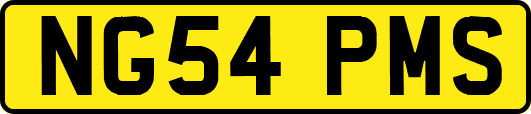 NG54PMS