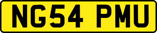NG54PMU